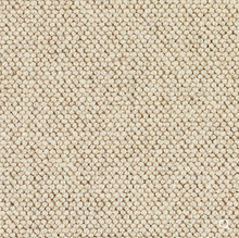 Load image into Gallery viewer, Discovery Carpet

