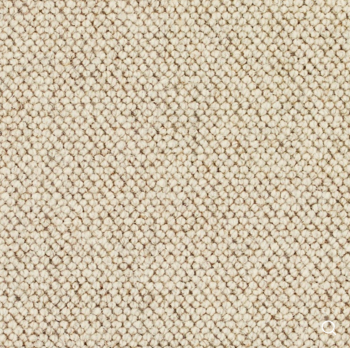 Discovery Carpet