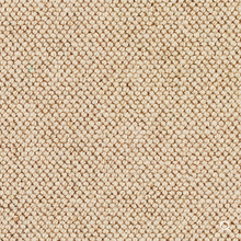 Load image into Gallery viewer, Discovery Carpet
