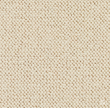 Load image into Gallery viewer, Discovery Carpet
