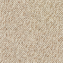 Load image into Gallery viewer, Discovery Carpet
