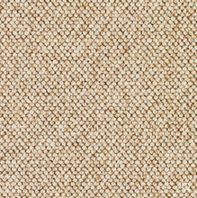 Load image into Gallery viewer, Discovery Carpet

