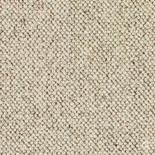 Load image into Gallery viewer, Discovery Carpet

