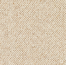 Load image into Gallery viewer, Discovery Carpet
