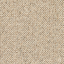 Load image into Gallery viewer, Discovery Carpet
