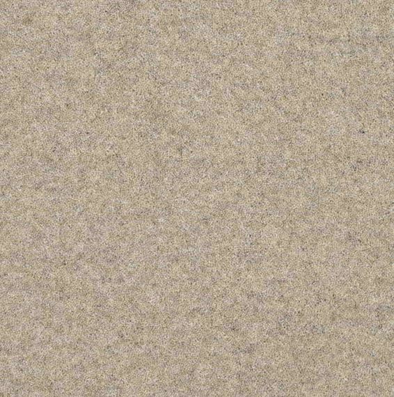 *ROLL END*  Tudor Twist Classic 42oz Carpet - Pumice 2.50 x 4.00