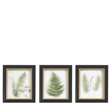 Load image into Gallery viewer, Alpini Botanical Wall Art Trio

