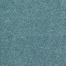 Load image into Gallery viewer, Finesse Carpet
