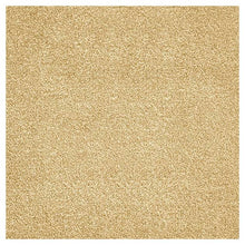 Load image into Gallery viewer, Berryessa Deluxe Carpet

