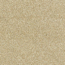 Load image into Gallery viewer, Aphrodite Plus Carpet
