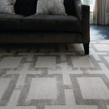 Load image into Gallery viewer, Katherine Carnaby Eaton Rug - Silver
