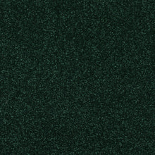Load image into Gallery viewer, Finesse Carpet
