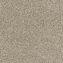 Load image into Gallery viewer, Aphrodite Plus Carpet
