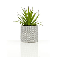 Load image into Gallery viewer, Set of 3 Succulents in Henna Pots
