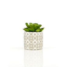 Load image into Gallery viewer, Set of 3 Succulents in Henna Pots
