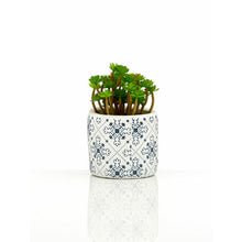 Load image into Gallery viewer, Set of 3 Succulents in Henna Pots
