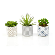 Load image into Gallery viewer, Set of 3 Succulents in Henna Pots

