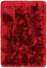 Load image into Gallery viewer, Plush Rug - Red
