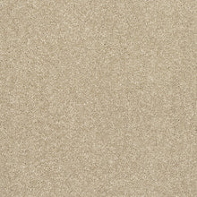 Load image into Gallery viewer, Finesse Carpet
