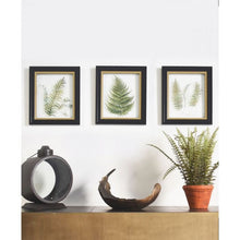 Load image into Gallery viewer, Alpini Botanical Wall Art Trio
