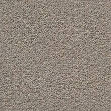 Load image into Gallery viewer, Tomkinson Twist Deluxe Carpet
