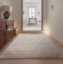 Load image into Gallery viewer, Noah Rug - Silver
