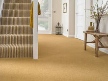 Load image into Gallery viewer, Tomkinson Twist Deluxe Carpet
