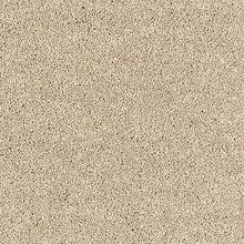 Load image into Gallery viewer, Aphrodite Plus Carpet
