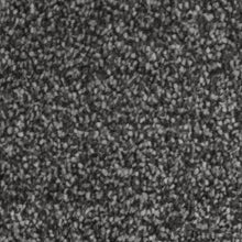 Load image into Gallery viewer, Septimus Carpet
