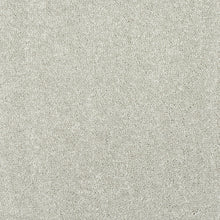 Load image into Gallery viewer, Finesse Carpet
