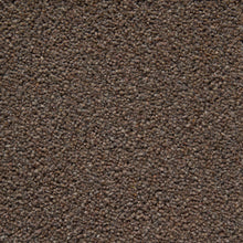 Load image into Gallery viewer, Tomkinson Twist Ultimate Carpet
