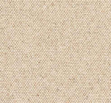 Load image into Gallery viewer, Garden Party Carpet
