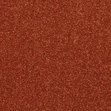 Load image into Gallery viewer, Finesse Carpet
