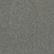 Load image into Gallery viewer, Finesse Carpet
