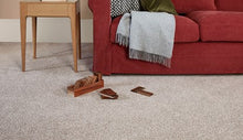 Load image into Gallery viewer, Captivate Carpet
