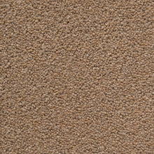 Load image into Gallery viewer, Tomkinson Twist Ultimate Carpet
