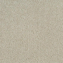 Load image into Gallery viewer, Invictus Darius 50oz Carpet
