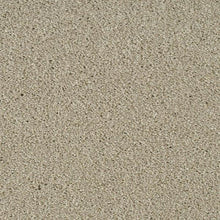 Load image into Gallery viewer, Invictus Darius 50oz Carpet

