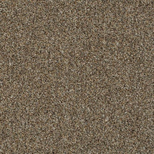 Load image into Gallery viewer, Invictus Darius 50oz Carpet
