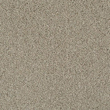 Load image into Gallery viewer, Invictus Darius 50oz Carpet
