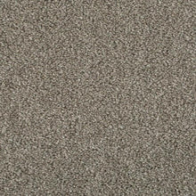 Load image into Gallery viewer, Invictus Darius 50oz Carpet
