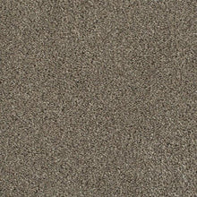 Load image into Gallery viewer, Invictus Darius 50oz Carpet
