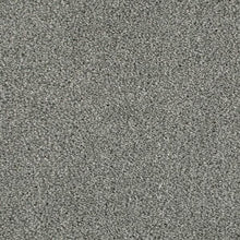 Load image into Gallery viewer, Invictus Darius 50oz Carpet
