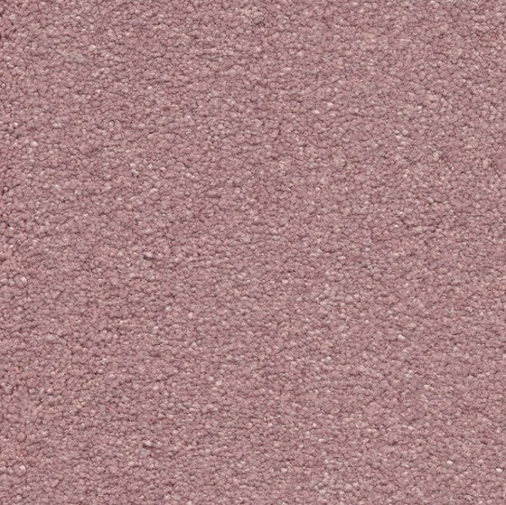 Suspense Begonia Carpet