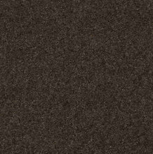 Load image into Gallery viewer, Burford Twist Carpet
