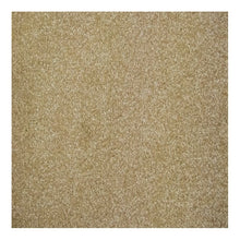 Load image into Gallery viewer, Harmony Carpet
