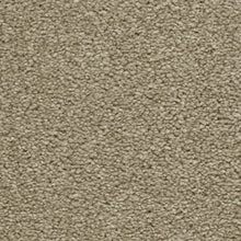 Load image into Gallery viewer, Brooklyn Carpet
