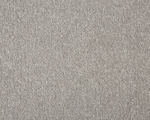 Load image into Gallery viewer, Easy Living Plus Carpet
