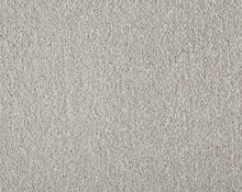 Load image into Gallery viewer, Easy Living Plus Carpet
