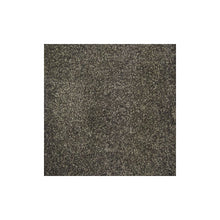 Load image into Gallery viewer, Harmony Carpet
